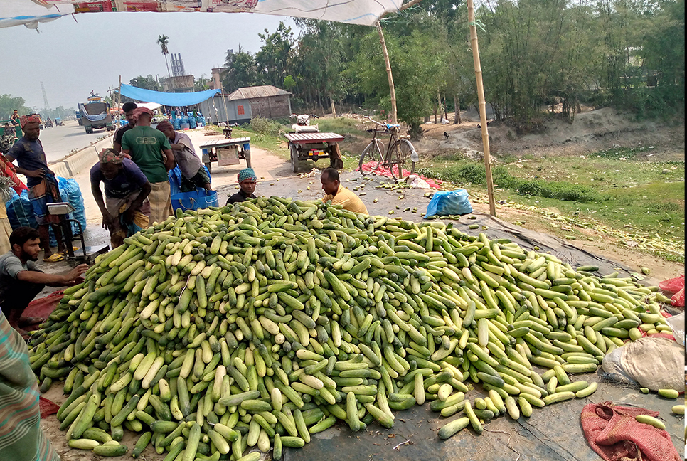 যেভাবে ৮ টাকার শসা হয়ে যায় ৪০ টাকা