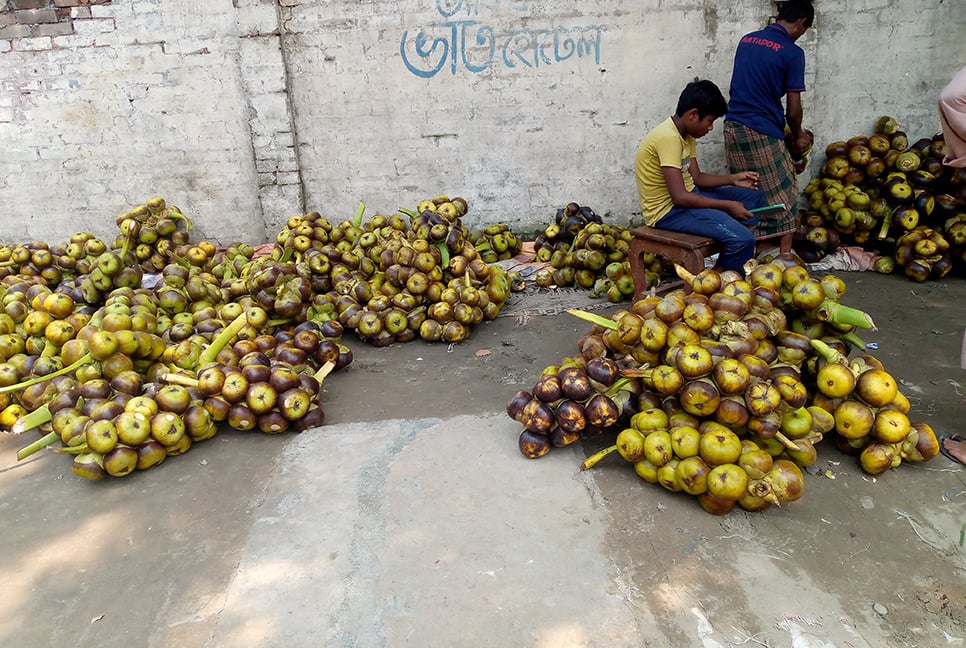 রংপুরে জমে উঠেছে তালের হাট