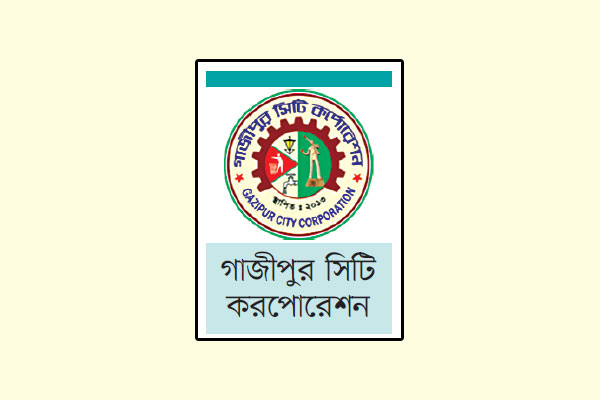 মাঝ সড়কের বিদ্যুৎ খুঁটি সরছে না