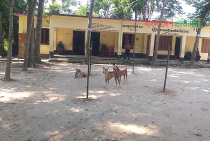 কুমিল্লায় ভোটার শূন্য কেন্দ্র