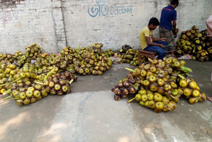 রংপুরে জমে উঠেছে তালের হাট