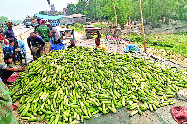যেভাবে ৮ টাকার শসা হয় ৪০ টাকা