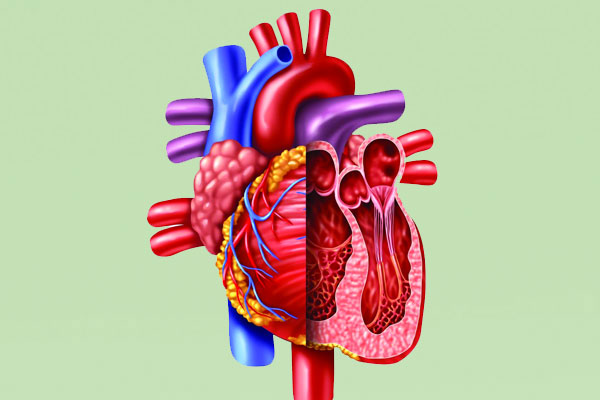 হার্ট ফেইলুর নিয়ে কিছু কথা...