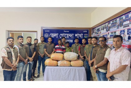 
শাহজাদপুরে গাঁজা উদ্ধার, আটক ২ 