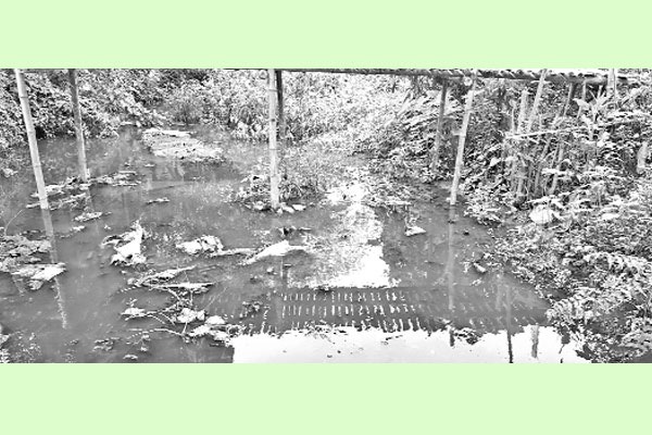বর্জ্যে বিষাক্ত নদী-খালের পানি