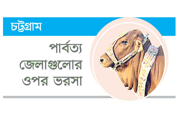 পশুর ঘাটতি সাড়ে ৩৩ হাজার