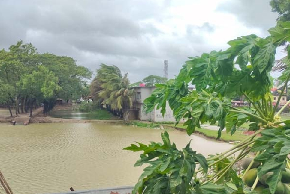 ঘূর্ণিঝড় রেমালে বিদ্যুৎহীন ২৬ লাখ গ্রাহক
