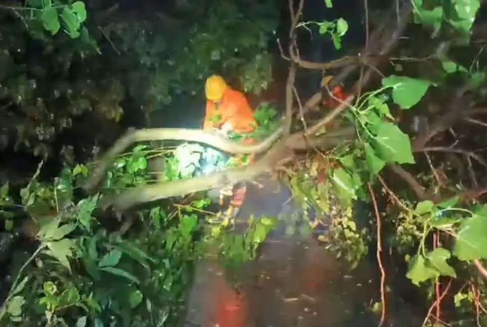 পশ্চিমবঙ্গে রাতভর তাণ্ডব চালিয়েছে রেমাল