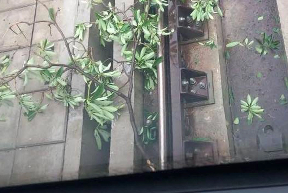 মতিঝিল থেকে কারওয়ান বাজার মেট্রোরেল চলাচল বন্ধ

