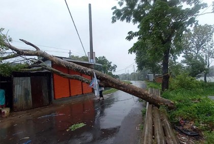 ঘূর্ণিঝড় রিমালের প্রভাবে চাঁদপুরে বেড়েছে বাতাসের গতি ও বৃষ্টিপাত 
