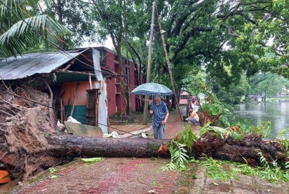 রিমালের প্রভাবে হবিগঞ্জে জলাবদ্ধতা, উপড়ে গেছে গাছপালা

