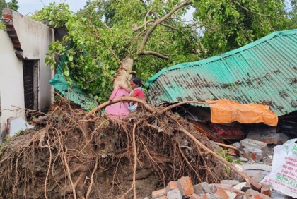 কালিয়াকৈরে গাছ পড়ে ভূমি অফিস বিধ্বস্ত

