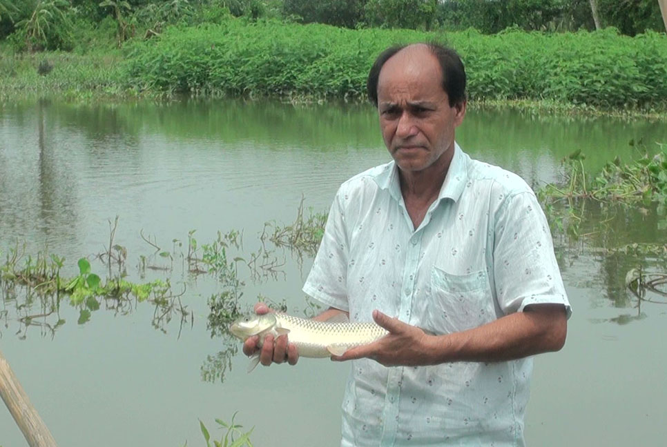 ঘূর্ণিঝড় রেমাল: গোপালগঞ্জে মৎস্য খাতে ক্ষতি কোটি কোটি টাকা