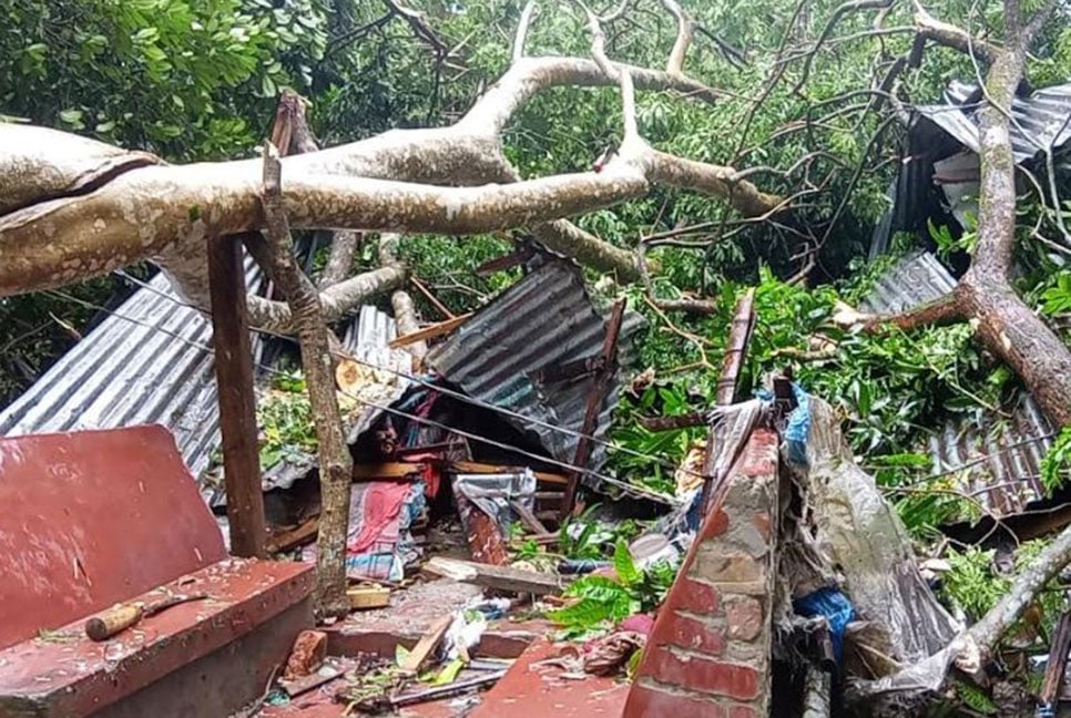 
দুমকিতে গাছ পড়ে বৃদ্ধের মৃত্যু 