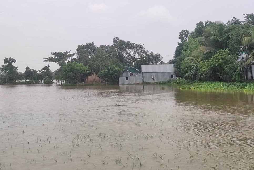 পাহাড়ি ঢলে আখাউড়ায় পানিবন্দী ২২ পরিবার, তলিয়ে গেছে ফসলি জমি
