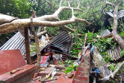 
দুমকিতে গাছ পড়ে বৃদ্ধের মৃত্যু 