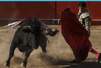 অবশেষে ষাঁড়ের লড়াই নিষিদ্ধ করল কলম্বিয়া