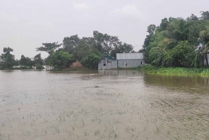 পাহাড়ি ঢলে আখাউড়ায় পানিবন্দী ২২ পরিবার, তলিয়ে গেছে ফসলি জমি