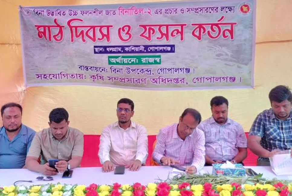 গোপালগঞ্জে ফসল কর্তন উৎসব