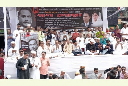 বিএনপির হাতেই দেশ ও স্বাধীনতা নিরাপদ : মির্জা আব্বাস
