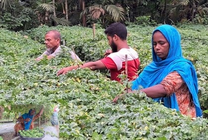 চাষেই যিনি করছেন বাঁচার লড়াই