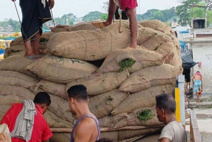 দুইদিনে ভারত থেকে এলো ১২০ টন কাঁচা মরিচ