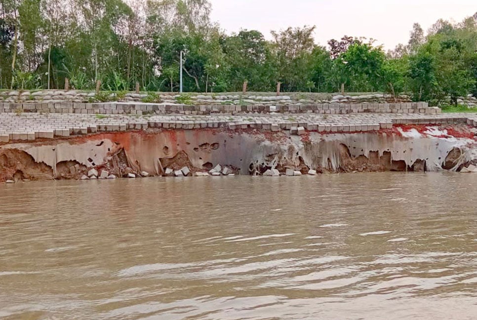 বগুড়ায় যমুনায় ভাঙন, আতঙ্কে নদীপাড়ের মানুষ