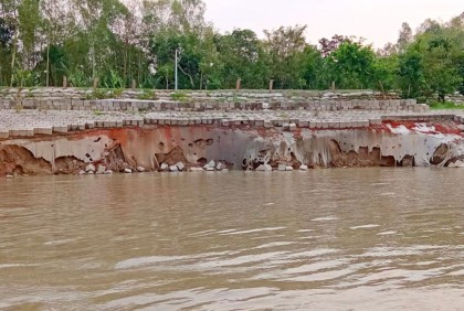 বগুড়ায় যমুনায় ভাঙন, আতঙ্কে নদীপাড়ের মানুষ