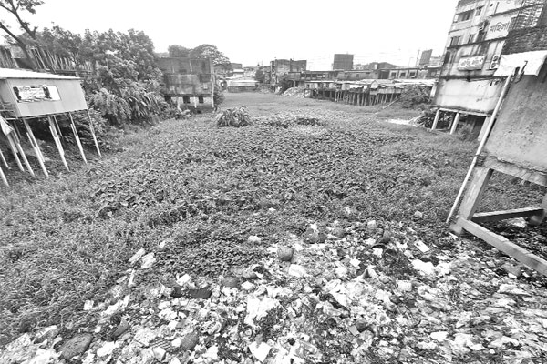 অস্তিত্ব সংকটে সিংহ নদ