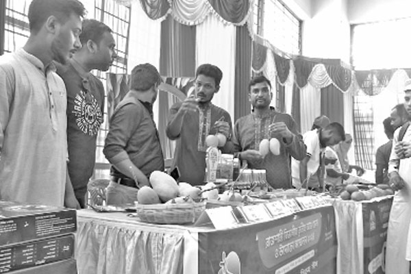 আম মেলা