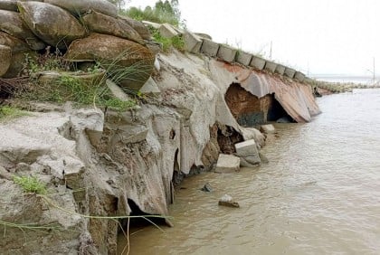 বগুড়ায় যমুনায় ভাঙন, নদীপাড়ের মানুষ আতঙ্কে 