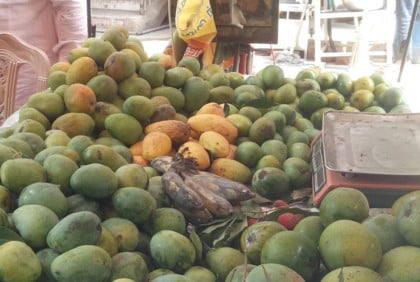 চাঁপাইনবাবগঞ্জের নামে অন্য জেলার আম বিক্রি

