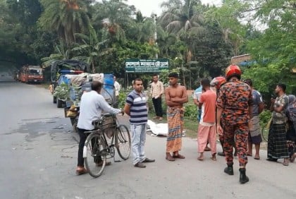 ঝিনাইদহে ট্রাকের ধাক্কায় আলমসাধু চালক নিহত