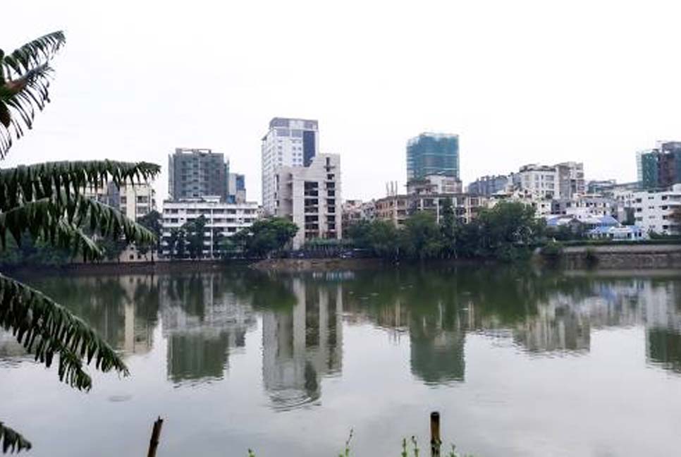 ফোন চুরির পর পালাতে গিয়ে লেকে ডুবলো চোর