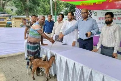 শিবচরে মৎস্যজীবীদের মাঝে ছাগল বিতরণ