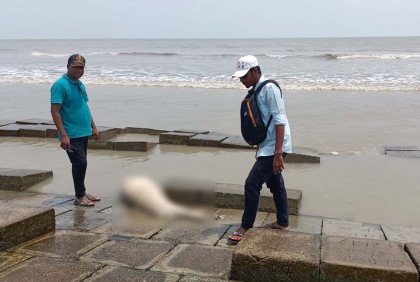 কুয়াকাটা সৈকতে ভেসে এসেছে মৃত ডলফিন