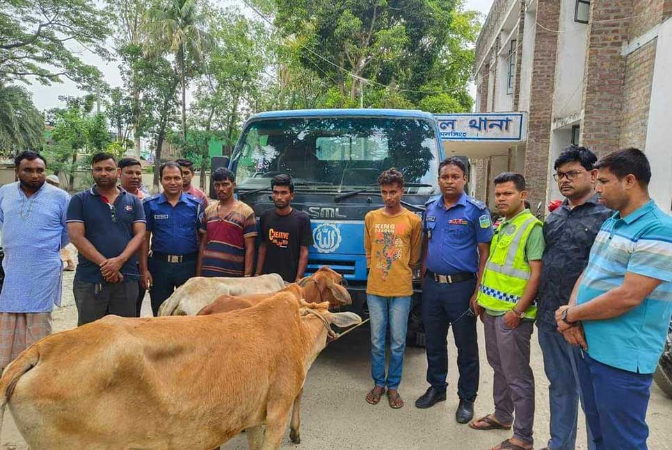 ত্রিশালে গরুসহ ৩ চোর গ্রেফতার 