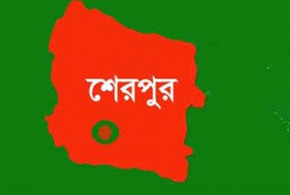 বনায়নের ১০ কোটি টাকার গরমিল, বন কর্মকর্তা সাময়িক বরখাস্ত

