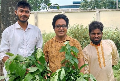 রংপুর নগরীতে ২০০ জারুল ও দুর্লভ গাছ রোপণ 