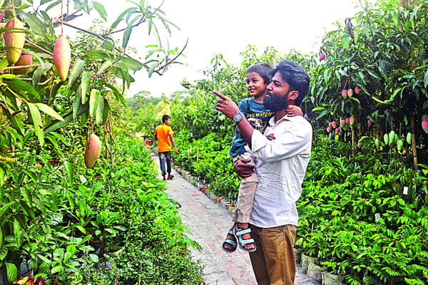 নগরে চলছে বৃক্ষমেলা