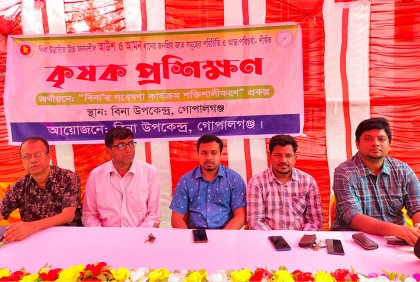 গোপালগঞ্জে বিনা’র উচ্চ ফলনশীল ধানের জাত নিয়ে কৃষক প্রশিক্ষণ