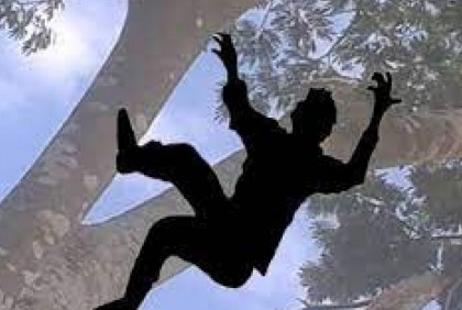 চিরিরবন্দরে গাছ থেকে পড়ে যুবকের মৃত্যু