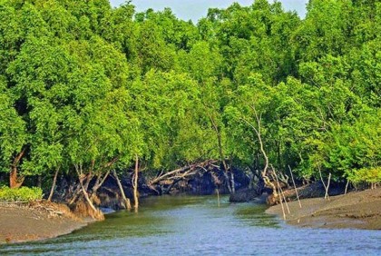 সুন্দরবনে ৫ কার্টন বিষের বোতলসহ জাল ও নৌকা জব্দ