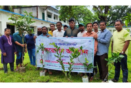 নলছিটিতে বৃক্ষরোপণ অভিযান