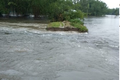 ডিমলায় বুড়িতিস্তা নদীর বাঁধ ভেঙে  প্রায় ১০টি গ্রাম প্লাবিত 