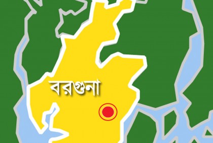 বরগুনার আমতলীতে বজ্রপাতে ৩টি গরুর মৃত্যু