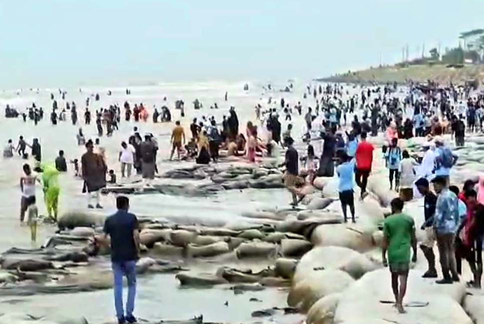 পর্যটকদের পদচারণায় মুখরিত কুয়াকাটা সৈকত 