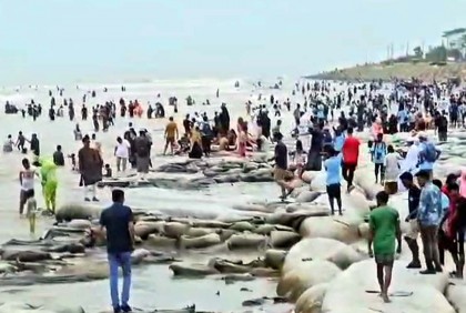 পর্যটকদের পদচারণায় মুখরিত কুয়াকাটা সৈকত 