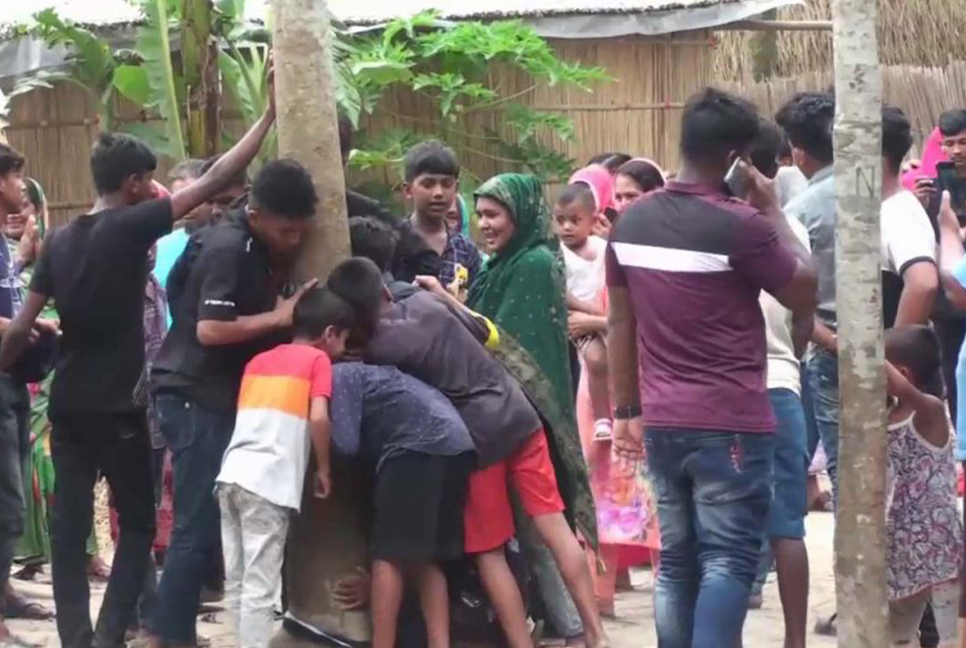 গোপালগঞ্জের সেই গাছ কি সত্যিই কথা বলে?