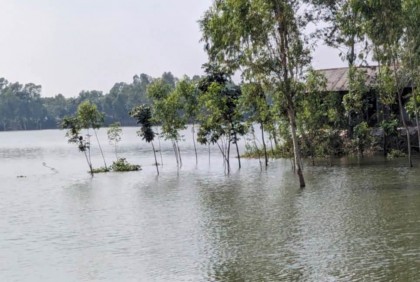 যমুনায় পানি কমলেও বাড়ছে ভাঙন